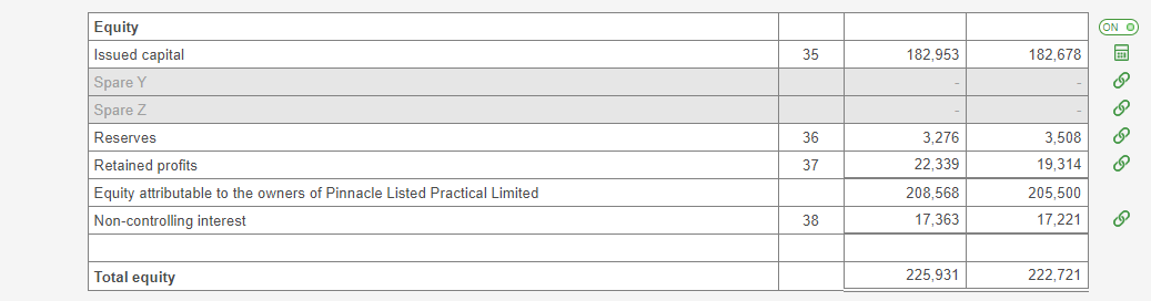 Image shows an excerpt of the Equity section of the Statement of Financial Position. Non-controlling interest is included.