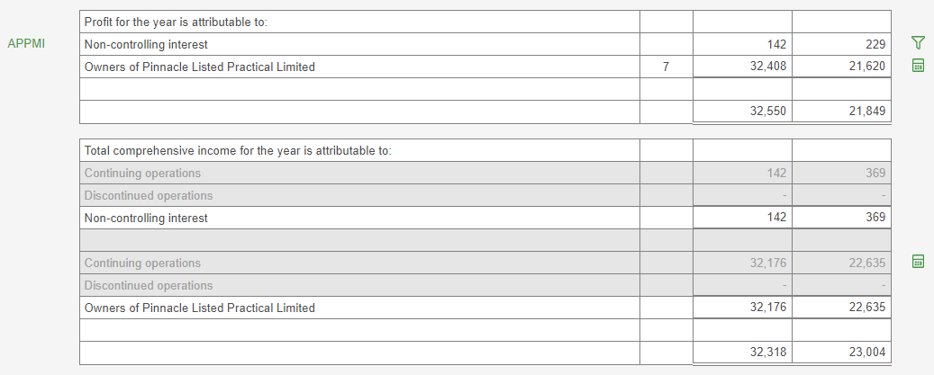 Image shows an excerpt of the Statement of Profit or loss. the Non-controlling interest table has been populated.